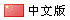 簡(jiǎn)體中文